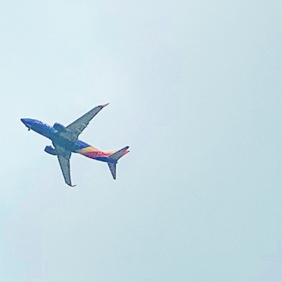 Meet your Posher, Brandy - Picture 1 of 1